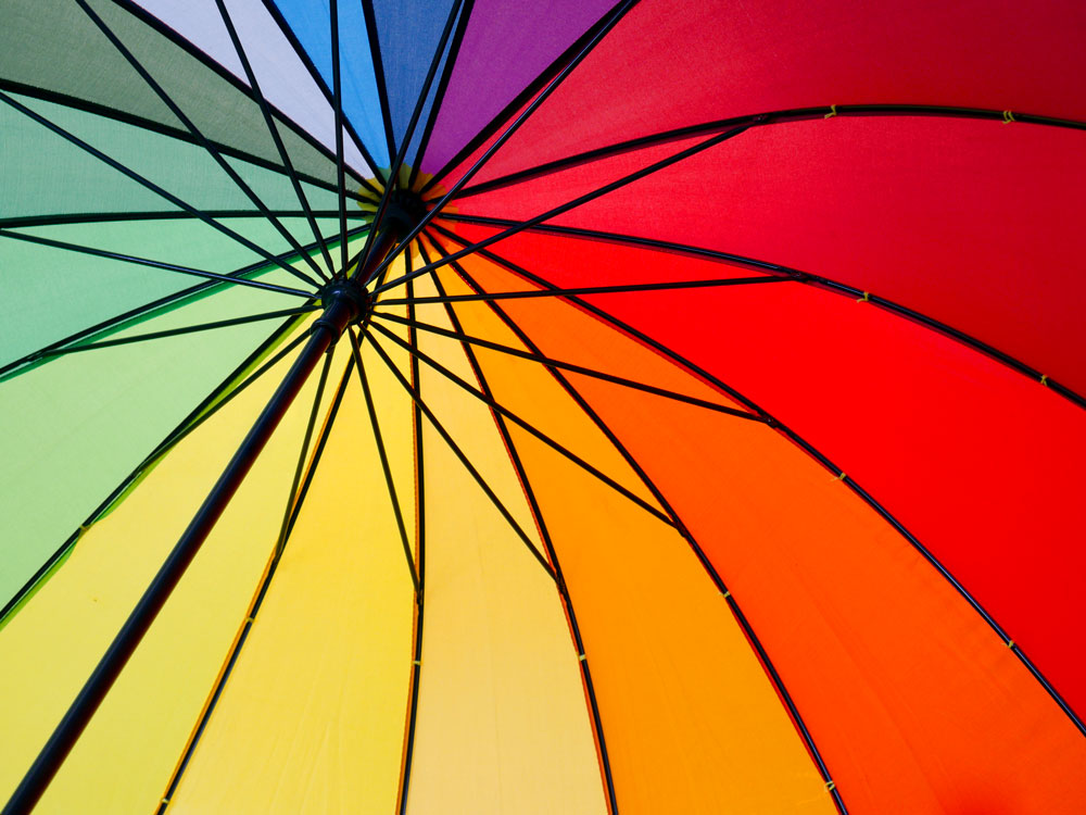 Creating A Leadership Capability Framework And Development Centers With A Specialist Insurer